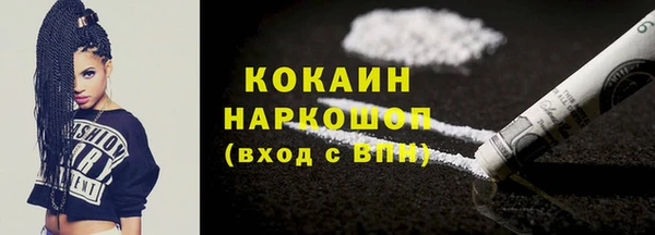 гашик Вяземский