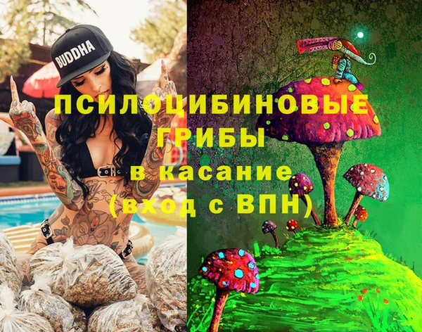 меф Ладушкин