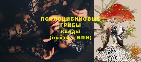 крисы Липки