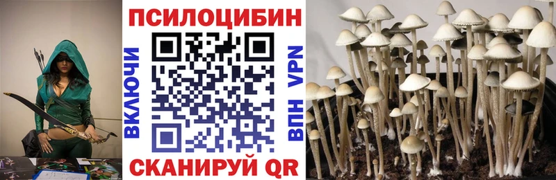 закладка  OMG сайт  Псилоцибиновые грибы MAGIC MUSHROOMS  Удачный 