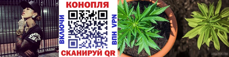 Марихуана марихуана  как найти наркотики  Удачный 